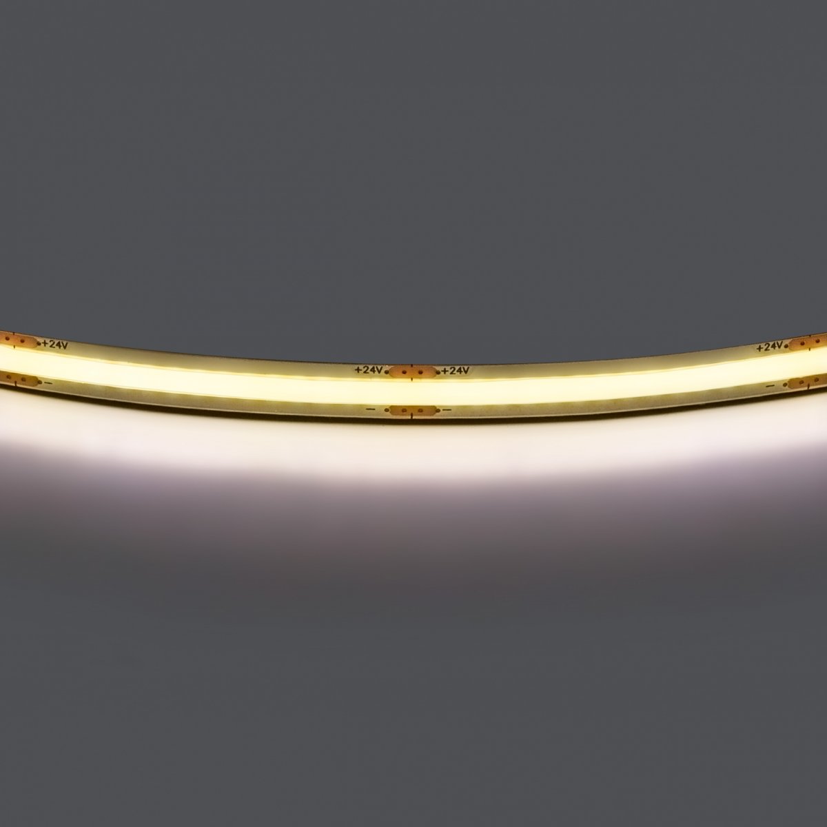 Лента белого свечения COB LED 24V Lightstar 420834