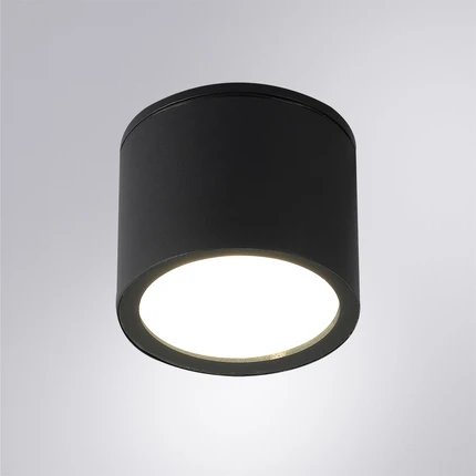 фото Уличный потолочный светильник Arte Lamp PIAUTOS A1913PF-1BK
