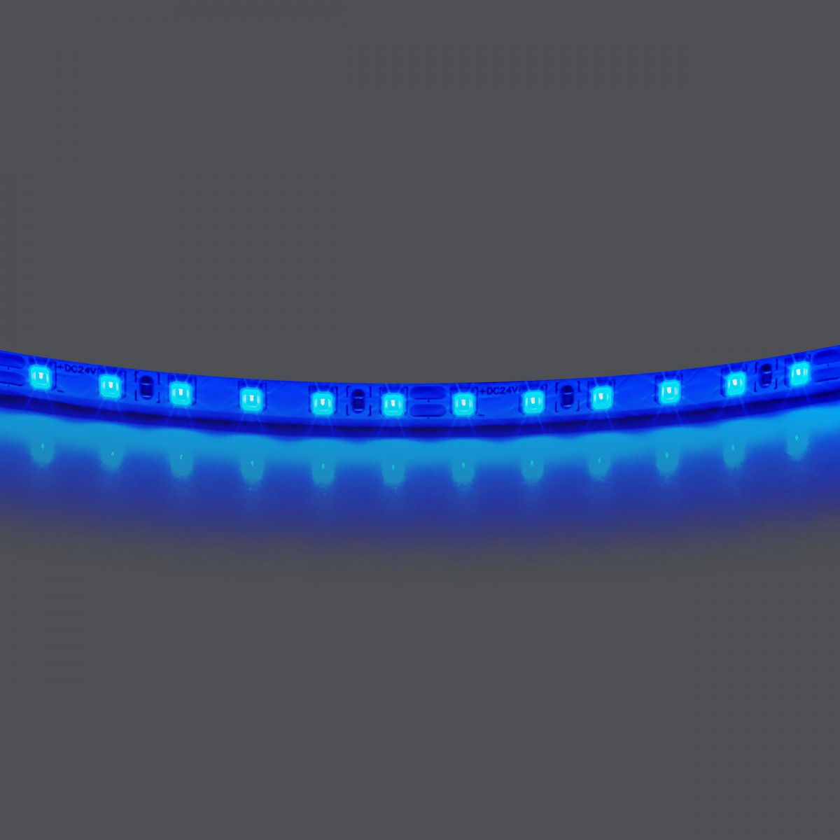 Лента цветного свечения 24V, синий Lightstar 420515