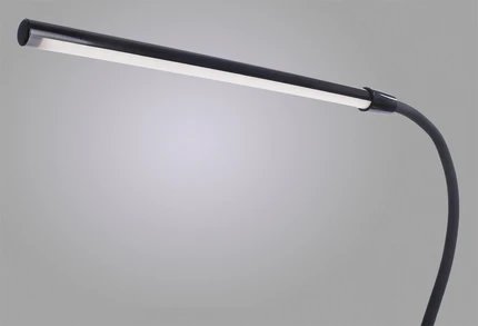фото Офисная настольная лампа Arte Lamp CONFERENCE A1106LT-1BK