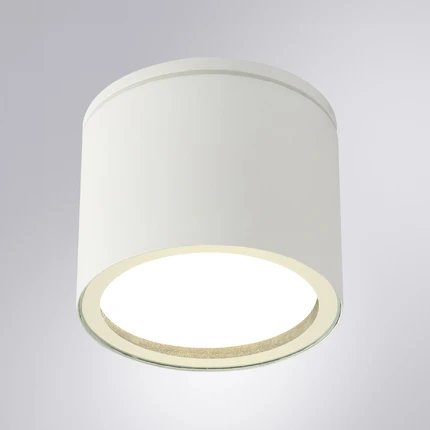 фото Уличный потолочный светильник Arte Lamp PIAUTOS A1913PF-1WH