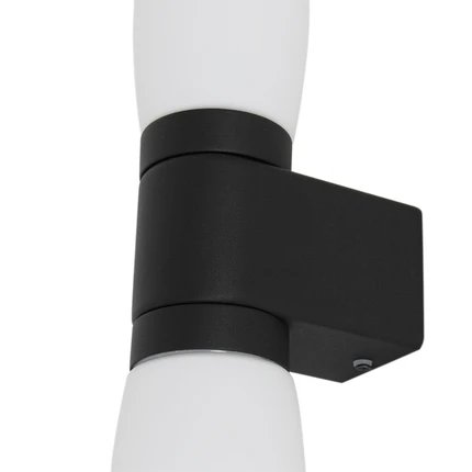 фото Подсветка для зеркал Arte Lamp AQUA-BASTONE A1209AP-2BK