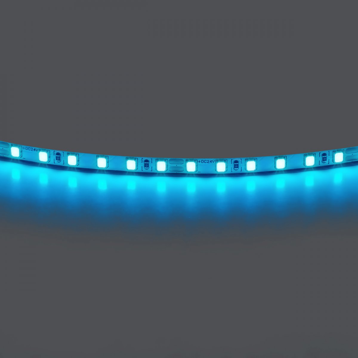 Лента цветного свечения 24V, голубой Lightstar 420516