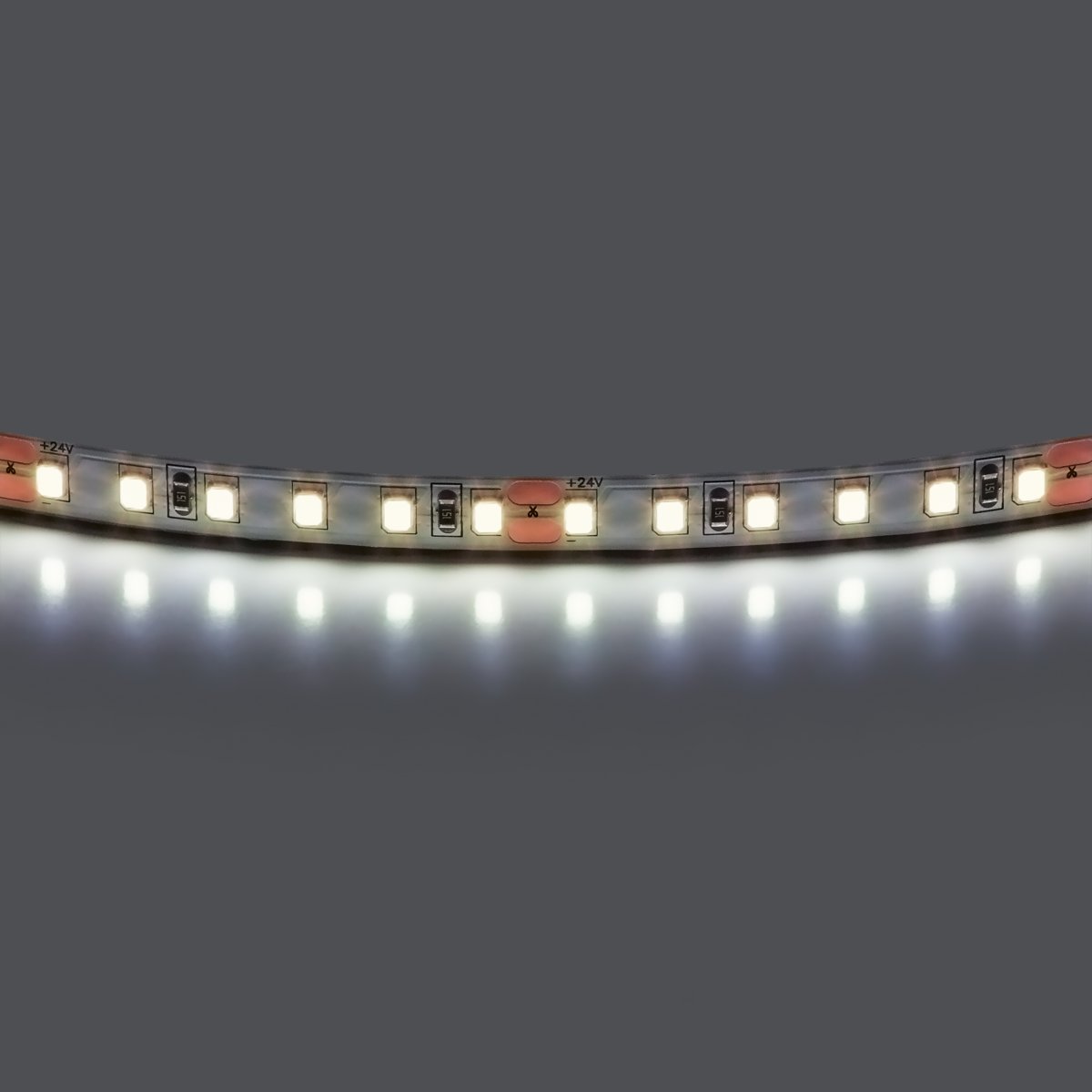 Лента холодного белого свечения 24V Lightstar 420805