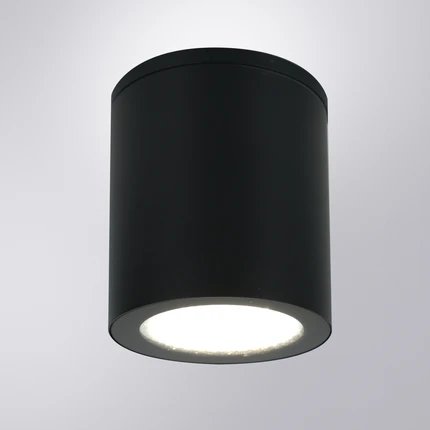 фото Уличный потолочный светильник Arte Lamp TORCULAR A1813PF-1BK