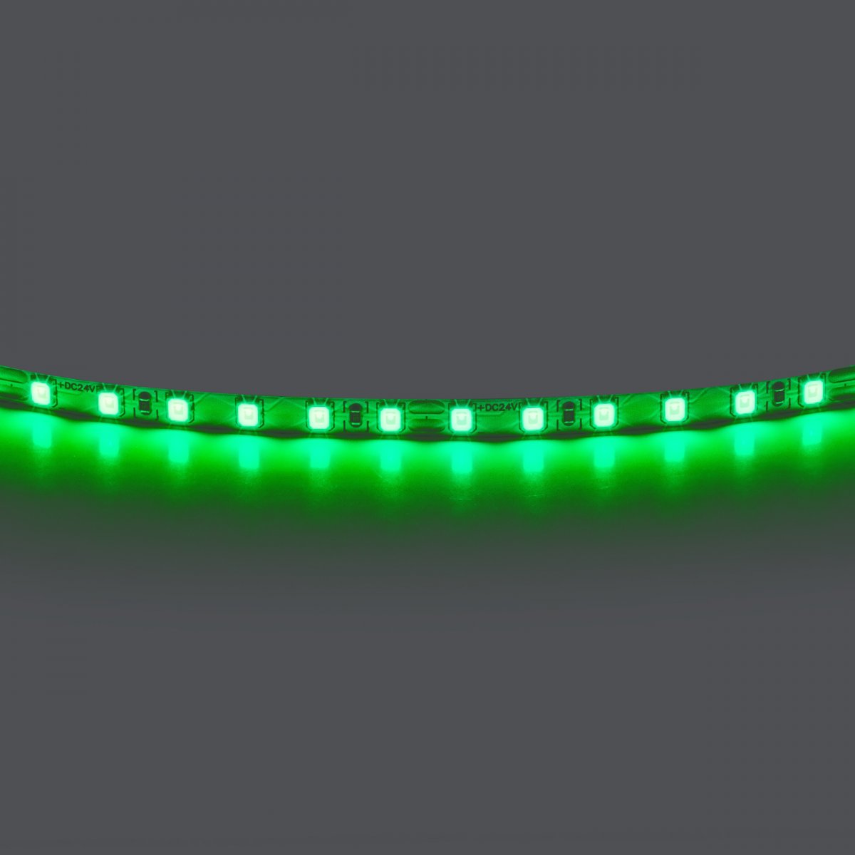 Лента цветного свечения 24V, зеленый Lightstar 420514
