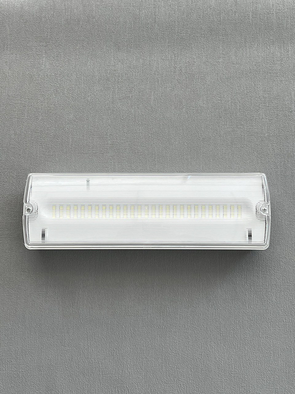 Световой Указатель WC2500 220V 24LED бел 4W IP65, автономный режим 120 мин.