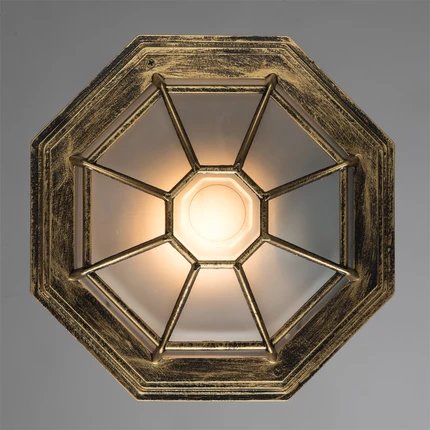 фото Уличный потолочный светильник Arte Lamp PEGASUS A3121PF-1BN