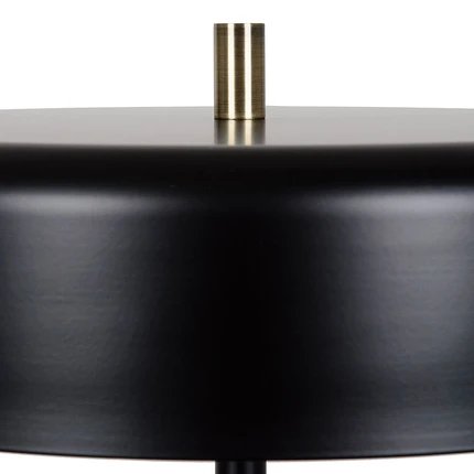 фото Торшер Arte Lamp SKAT A7052PN-2BK