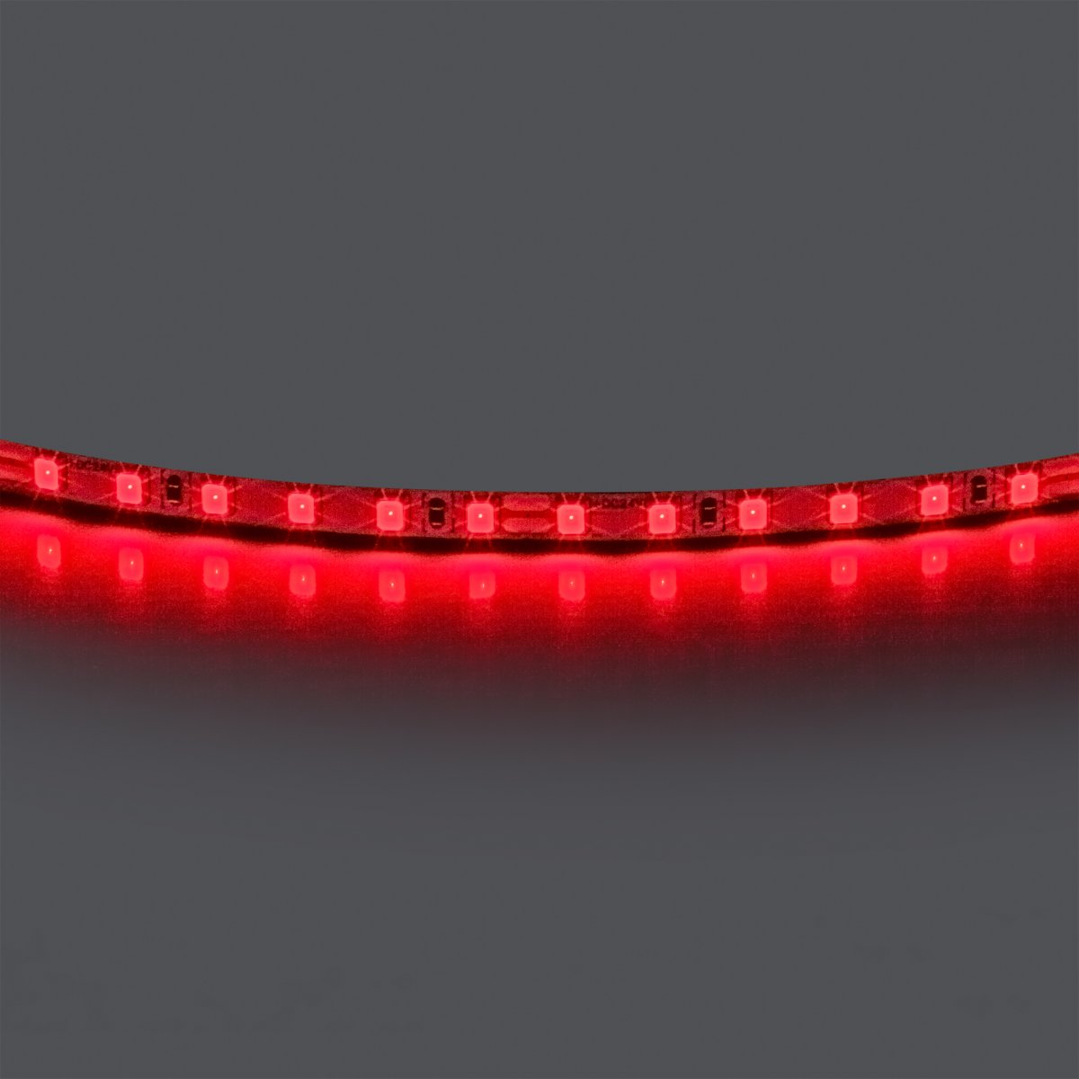 Лента цветного свечения 24V, красный Lightstar 420511