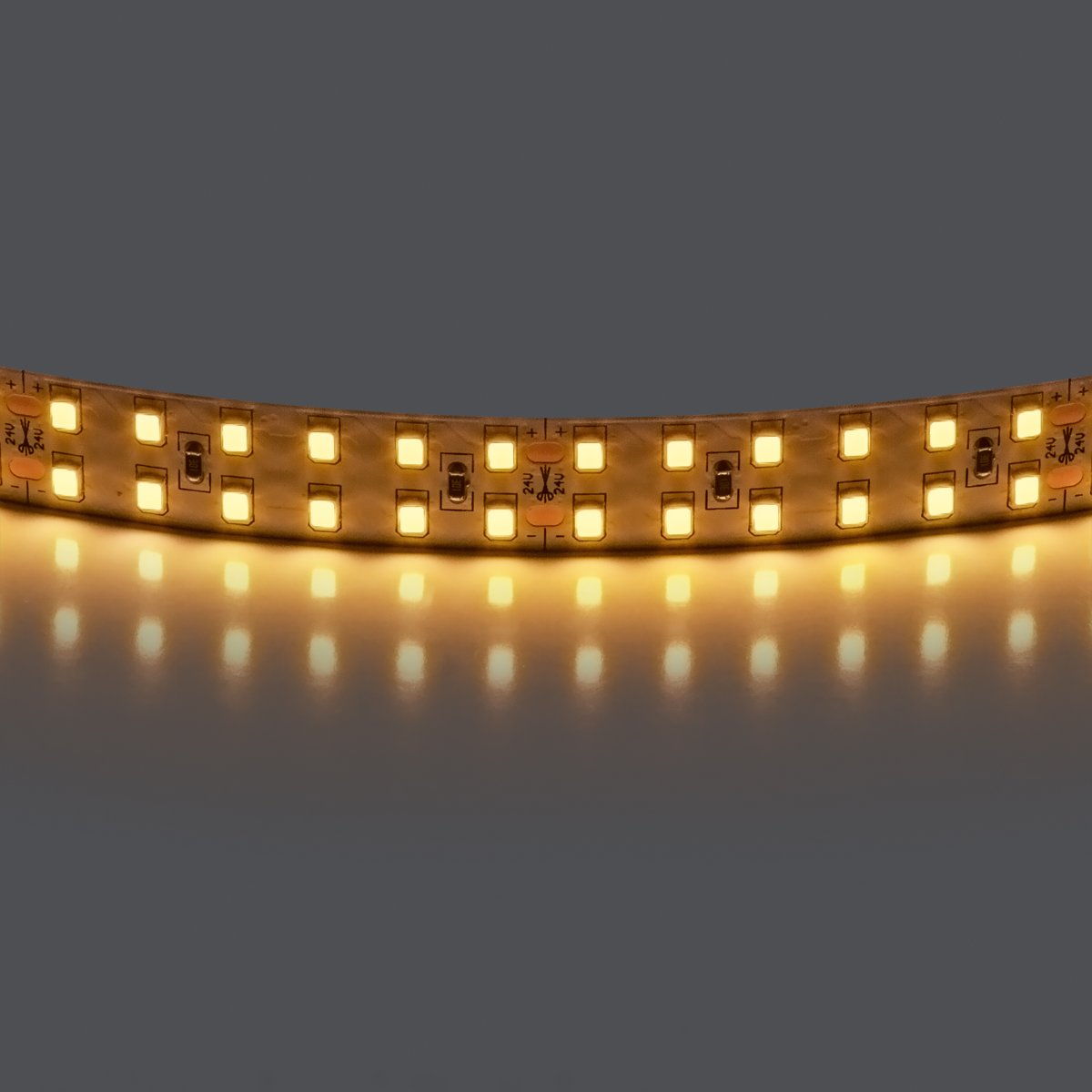 Лента теплого белого свечения 24V Lightstar 421503