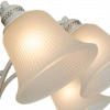 фото Потолочная люстра Arte Lamp EMMA A2713PL-8WG