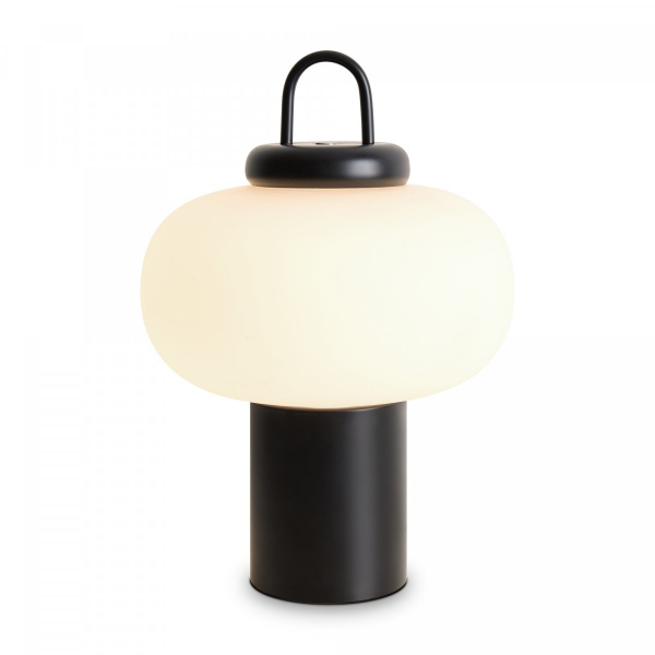 Настольный светильник Freya Take FR6175TL-L10B, черный