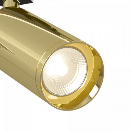 фото Трековый светильник Maytoni Technical Focus TR004-1-GU10-G, черный