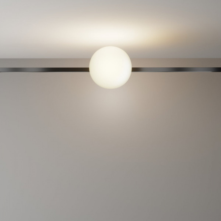 фото Трековый светильник Maytoni Technical Luna TR229-1-8W3K-B, черный