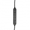 фото Офисная настольная лампа Arte Lamp FLEX A5128LT-1BK