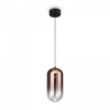 Подвесной светильник Freya Idol FR6134PL-L4C, черный