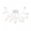 фото Люстра Freya Florencia FR5049CL-27W1, белый