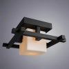 фото Потолочный светильник Arte Lamp WOODS A8252PL-1CK