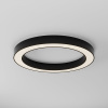 фото Потолочный светильник Maytoni Technical Lua C093CL-45W3K-B, черный