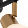 фото Спот Arte Lamp FALENA A3117PL-4BK