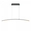 Подвесной светильник Maytoni Curve MOD243PL-L18BK, черный