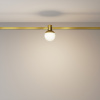 фото Трековый светильник Maytoni Technical Luna TR149-1-5W3K-BS, латунь