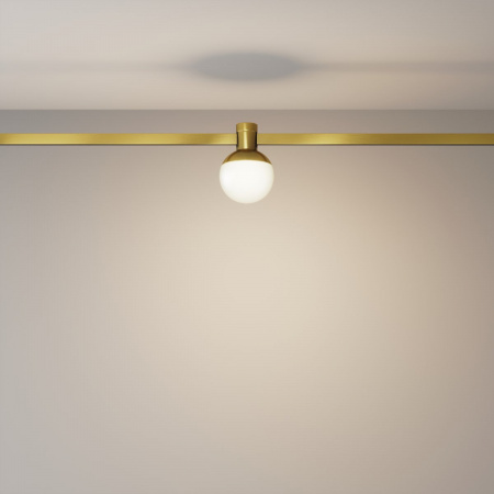фото Трековый светильник Maytoni Technical Luna TR149-1-5W3K-BS, латунь