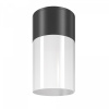Уличный потолочный светильник Maytoni Outdoor Willis O418CL-01B, черный