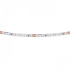 фото Лента цветного свечения 24V, синий Lightstar 420515