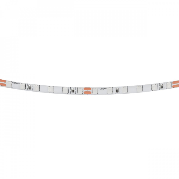 фото Лента цветного свечения 24V, синий Lightstar 420515