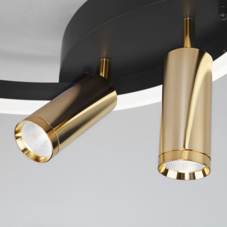 фото Умный потолочный светильник Eurosvet Luminari 90247/3 черный/золото Smart