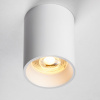 фото Рамка (светильник) PVC для LED-модулей 941хх и LED-ламп D50мм Rullo, белый Lightstar 213436