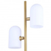 фото Торшер Arte Lamp CASSEL A5454PN-2PB