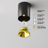 фото Потолочный светильник Maytoni Technical Alfa LED C064CL-8W3K-RD-B, черный