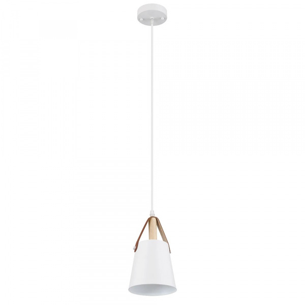 Подвесной светильник Arte Lamp THOMAS A7032SP-1WH