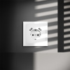 фото Накладка для розетки с заземлением и защитными шторками, с USB A+A, S70 (белый матовый)