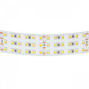 фото Лента теплого белого свечения 24V Lightstar 423003