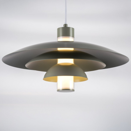 фото Люстра подвесная Erbareo, серый Lightstar 799019