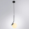 фото Подвесной светильник Arte Lamp BOLLA-UNICA A1923SP-1BK