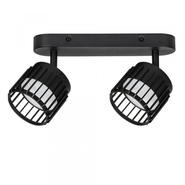Спот Arte Lamp ATRIA A8031PL-2BK