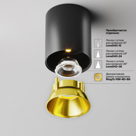 фото Потолочный светильник Maytoni Technical Alfa LED C064CL-12W3K-RD-B, черный