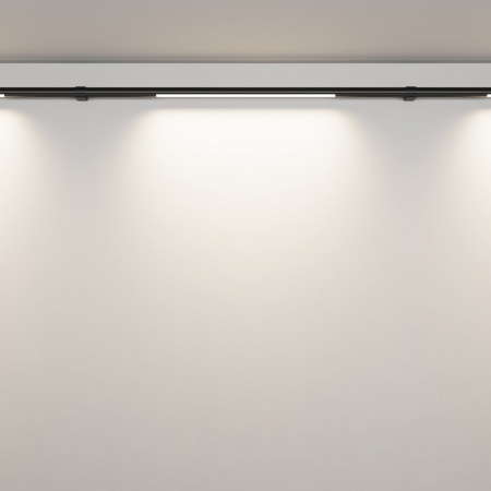 фото Светильник Maytoni Technical Basis C100CL-L500-12W3-6K-B, черный