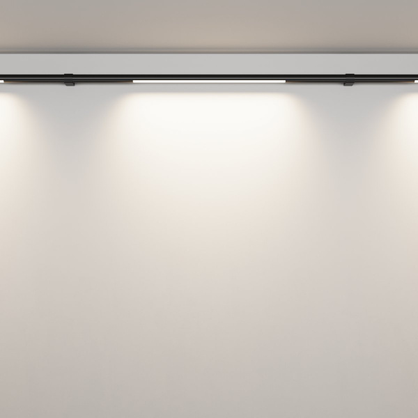 фото Светильник Maytoni Technical Basis C100CL-L500-12W3-6K-B, черный