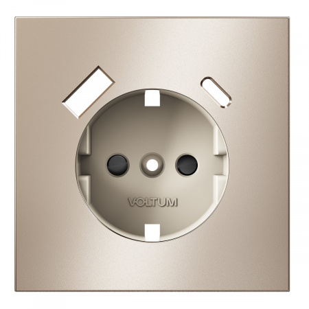 фото Накладка для розетки с заземлением и защитными шторками, с USB A+C, S70 Metal (платина)