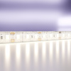 Светодиодная лента 12В 2835 14,4Вт/м 4000K 5м IP65 Maytoni 10118, белый