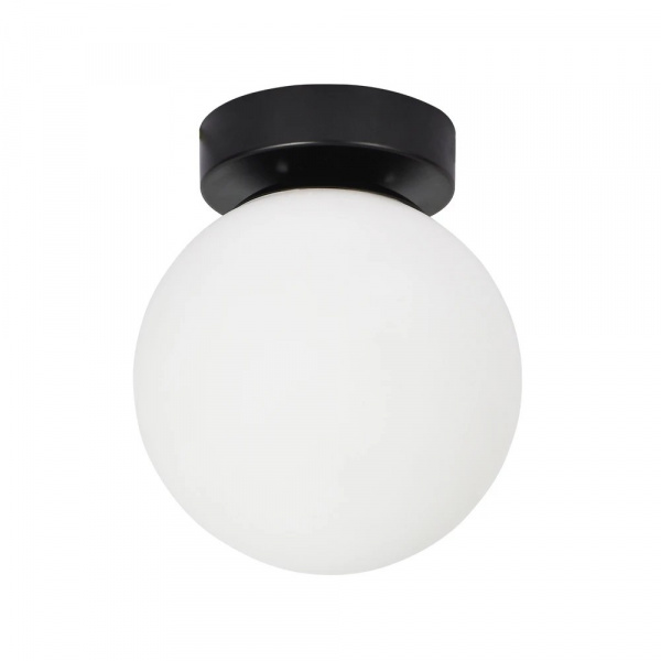 Настенно-потолочный светильник Arte Lamp ALCOR A2224PL-1BK