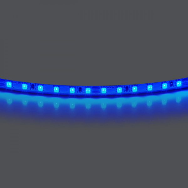 Лента цветного свечения 24V, синий Lightstar 420515