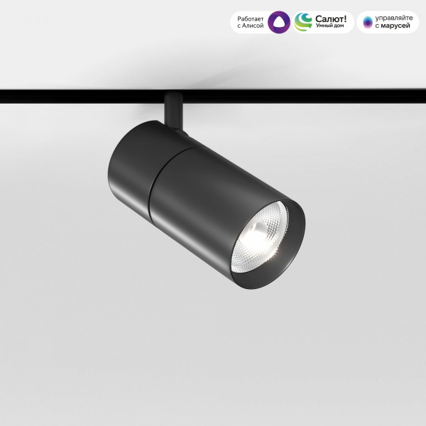фото Умный трековый светильник 12W 2700-6500K Dim R02 Slim Magnetic 85075/01