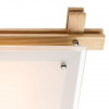 фото Потолочный светильник Arte Lamp ARCHIMEDE A6460PL-3BR